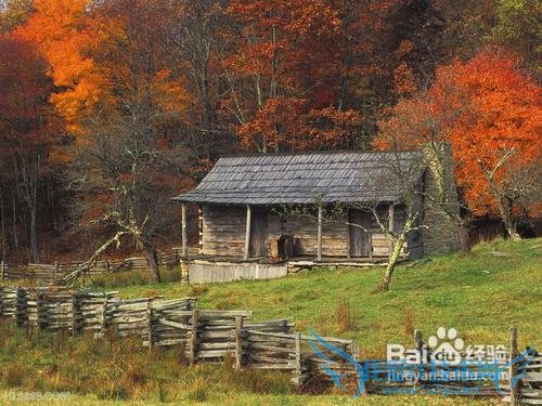 旅游最应该该注意什么?