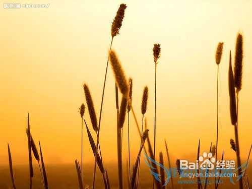 旅游最应该该注意什么?