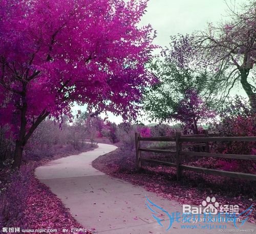 旅游最应该该注意什么?