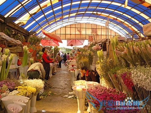 云南旅游攻略——昆明篇