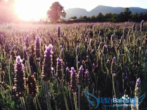 云南旅游攻略——昆明篇