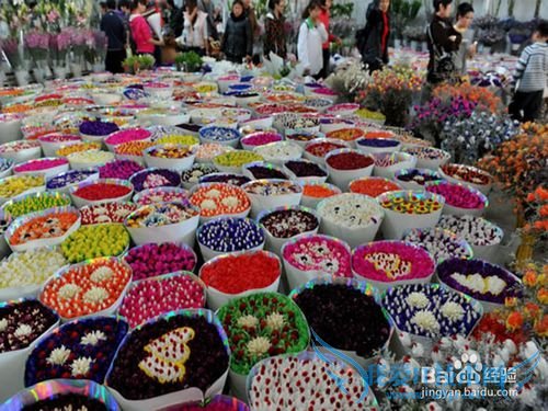 云南旅游攻略——昆明篇