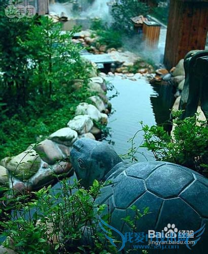 适合11月份的旅游地点