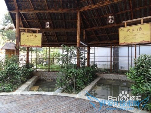 适合11月份的旅游地点