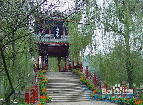 北京到四川旅游怎么玩