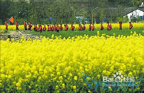 春季云南旅游需要注意的事项