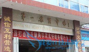 三亚自助游攻略(适合慢脚步的人哦)