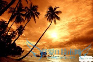 三亚自助游攻略(适合慢脚步的人哦)