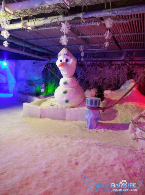 游乐园旅游攻略