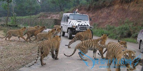 游乐园旅游攻略