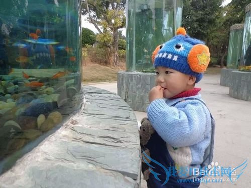 带宝宝外出旅游需要准备些什么?