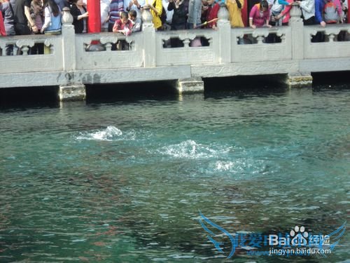 旅游前要做的准备