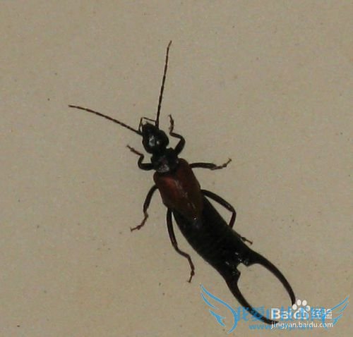 去沙漠旅游需要注意什么?