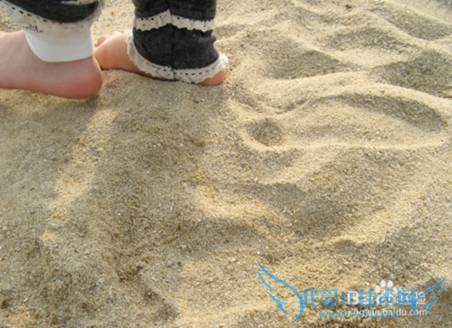 去沙漠旅游需要注意什么?