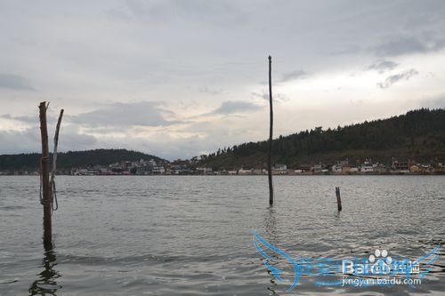 深圳到云南的旅游攻略