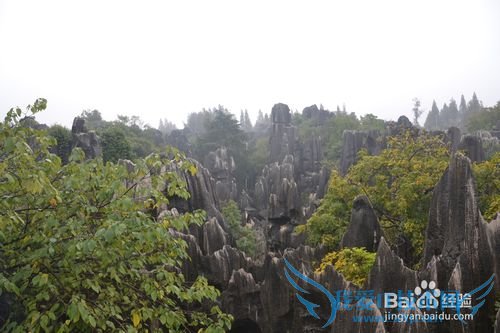 深圳到云南的旅游攻略