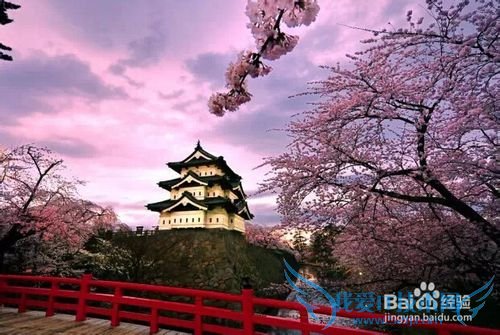 黄金周出境游 日本游火爆