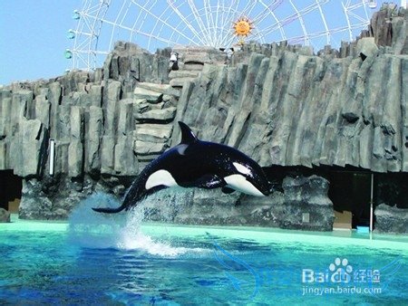 黄金周出境游 日本游火爆