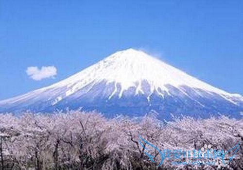 黄金周出境游 日本游火爆