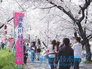 黄金周出境游 日本游火爆