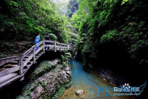 重庆旅游攻略(必备)
