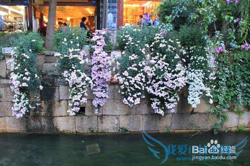 旅游-云南六日行-Day3