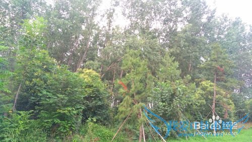 西安市区内哪些地方值得去