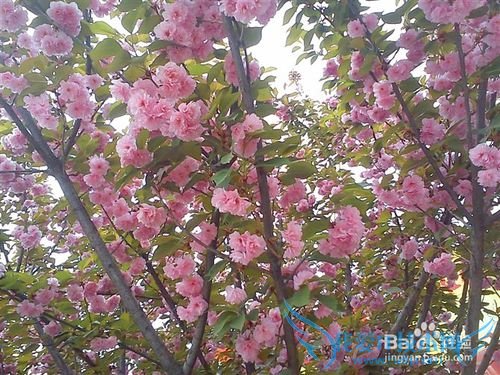 西安市区内哪些地方值得去