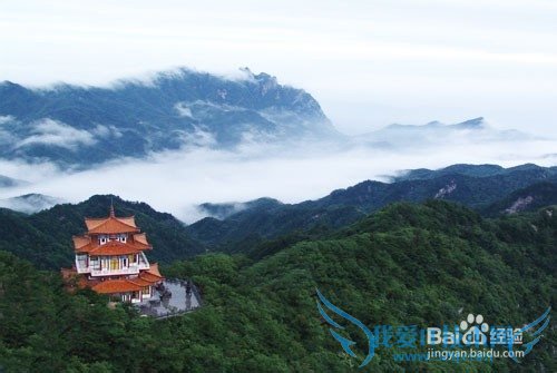 河南有什么好玩的地方?河南旅游攻略