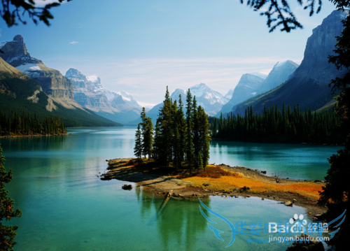 旅游应该注意什么