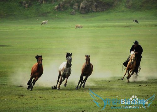 È¥²ÝÔÂÃÓÎÐèҪעÒâʲô£¿