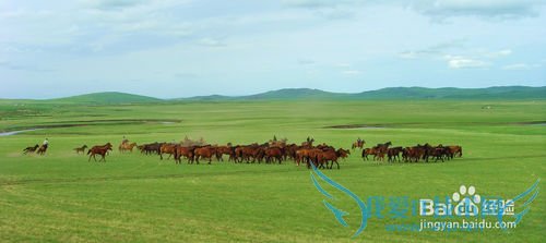 È¥²ÝÔÂÃÓÎÐèҪעÒâʲô£¿