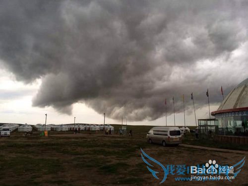 È¥²ÝÔÂÃÓÎÐèҪעÒâʲô£¿