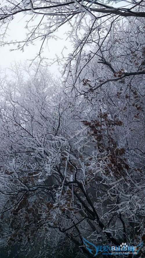 清明、五一适合去哪里玩?老君山自驾旅游