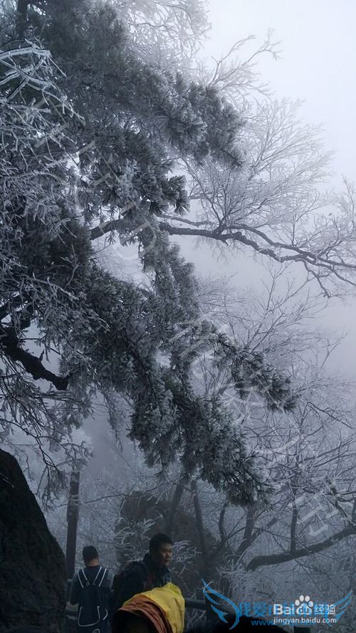 清明、五一适合去哪里玩?老君山自驾旅游