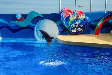 怎样准备香港旅游行程