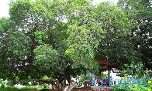 桂林旅游最佳景点攻略