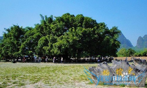 桂林旅游最佳景点攻略