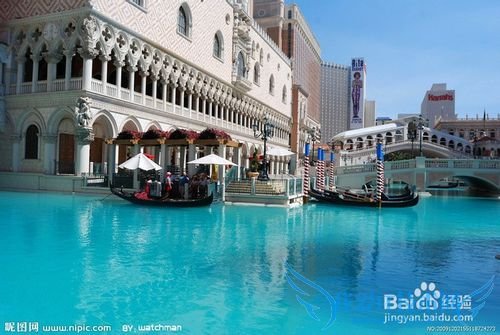 旅游,到处看看风景吧