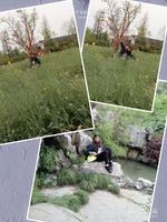 杭州西溪湿地旅游风景欣赏