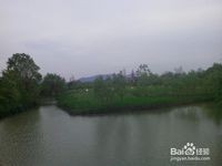 杭州西溪湿地旅游风景欣赏