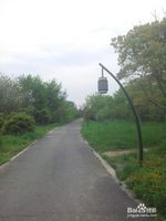 杭州西溪湿地旅游风景欣赏