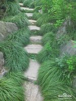 杭州西溪湿地旅游风景欣赏