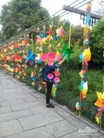 杭州西溪湿地旅游风景欣赏