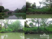 杭州西溪湿地旅游风景欣赏