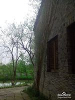 杭州西溪湿地旅游风景欣赏