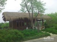 杭州西溪湿地旅游风景欣赏