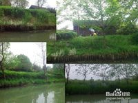 杭州西溪湿地旅游风景欣赏