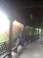 杭州西溪湿地旅游风景欣赏