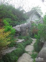 杭州西溪湿地旅游风景欣赏